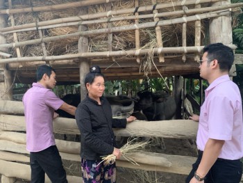 Đoàn thanh niên xã Quài Cang phối hợp cùng NHCSXH kiểm tra sử dụng vốn vay