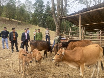 Cho vay đối với người chấp hành xong án phạt tù tại Ngân hàng Chính sách xã hội - một chính sách rất nhân văn